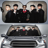 Big Bang Auto Car Sun Shade Windshield