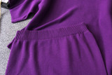 2020 Autumn Winter Long Sleeve Female Knitwear With Midi Skirts Sets Two Pieces Women Knitted Suit Skirt and Top Set