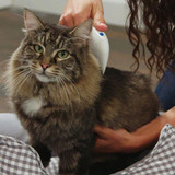 Pet Flea Killing Comb