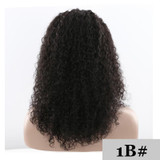 Afro Kinky Curly Long Human Hair Wigs For Black Women Pre Plucked Hairline