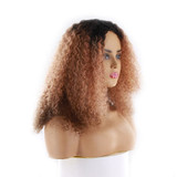 Afro Kinky Curly Long Human Hair Wigs For Black Women Pre Plucked Hairline