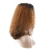 Afro Kinky Curly Long Human Hair Wigs For Black Women Pre Plucked Hairline