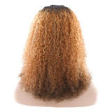 Afro Kinky Curly Long Human Hair Wigs For Black Women Pre Plucked Hairline