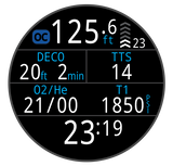 Teric Dive Computer
