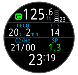 Teric Dive Computer
