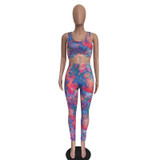 Workout Tie Dye Print Crop To and Pants Set