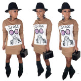 Print Long Sleeve T Shirt Dress