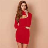 Women Turtleneck Long Sleeve Low Cut Bodycon Dress