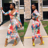Spring Print Deep V Neck Bodycon Dress
