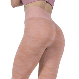 Seamless High Waist Quick Drying Tights Yoga Pants