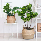 Basket Rattan Hanging Flower Pot Multiuse