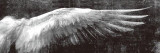Angel Wings Vintage Wall Posters
