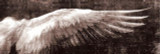 Angel Wings Vintage Wall Posters