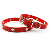 The Star Pu leather Collar