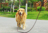 Genuine Leather Dog Leash
