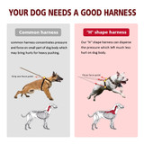 Genuine Leather Dog Harness Brown
