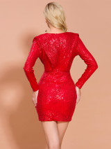 Zip Back Plunge Neck Sequin Bodycon Dress