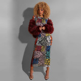 Long Sleeve O-Neck Multicolor Serpentine Print Bodycon Dress S