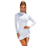 Women Long Sleeve Turtleneck Bodycon Dress