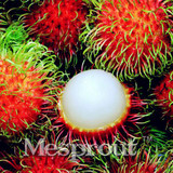 5pcs Rambutan Seed Red Fruits Malaysia Miracle Fruit Seeds Plant Giant Plant Tree New Outdoor Vegetable Fruit Jardin Pots