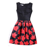 2XL New Brand Spring Summer Plus Size Women Print Floral Vest Dress Sleeveless A Line Party Fashion Dresses Vestido De Festa Hot
