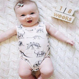 Newborn Jumpsuit Toddler Baby Boys Girls Dinosaur Bodysuit One-pieces Outfits Set 0-24M