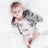 Newborn Jumpsuit Toddler Baby Boys Girls Dinosaur Bodysuit One-pieces Outfits Set 0-24M