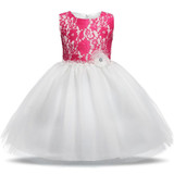 Newborn Infant Baby Dress Wedding Girls Christening Clothes 1 year birthday Princess Dresses tutu kids Dress Baby Girl clothing