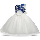 Newborn Infant Baby Dress Wedding Girls Christening Clothes 1 year birthday Princess Dresses tutu kids Dress Baby Girl clothing