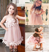 Cute Kids Girls Princess Pink White Dresses Pageant Toddler Kids Baby Girl Sleeveless Flower Tulle Petal Party Ball Gown Dresses