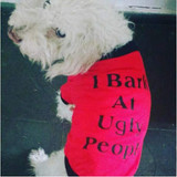 Cute Dogs Cats Clothes Summer T Shirt Sweatershirt for Pets