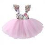 Newborn Toddler Baby Girls Floral Dress Party Ball Gown Formal Dresses Sundress Baby Girls Tutu Dress