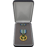 Joint Service Commendation Medal Set