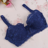32-40B Brassiere Women Bra Sexy Underwire Padded Up Embroidery Lace Bra Push Up Bras