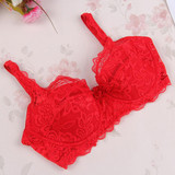 32-40B Brassiere Women Bra Sexy Underwire Padded Up Embroidery Lace Bra Push Up Bras