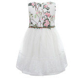 ChildDkivy 3-12Y Girls Lace Dress Princess Dress for Girls Clothes Baby Girls Dress Summer 2017 Kids Dresses Children Clothing ChildDkivy 3-12Y Girls Lace Dress Princess Dress for Girls Clothes Baby Girls Dress Summer 2017 Kids Dresses Children Clothing
