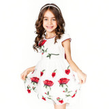 ChildDkivy 3-12 Years Girls Lace Princess Dress 2017 Kids Summer Rose Dress for Baby Girls Children Fashion Party Clothes ChildDkivy 3-12 Years Girls Lace Princess Dress 2017 Kids Summer Rose Dress for Baby Girls Children Fashion Party Clothes