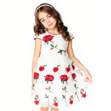 ChildDkivy 3-12 Years Girls Lace Princess Dress 2017 Kids Summer Rose Dress for Baby Girls Children Fashion Party Clothes ChildDkivy 3-12 Years Girls Lace Princess Dress 2017 Kids Summer Rose Dress for Baby Girls Children Fashion Party Clothes