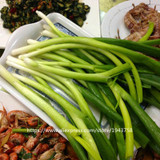 100pcs spring onion seeds,Giant Chinese Green Onion Seeds,Chinese Vegetable Seeds,Home Garden Bonsai Plant