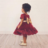 Newborn Baby Girl 1 Year Birthday Outfit Pleated lace dress Baby Baptism Dresses For Girl Infant Party Dress Tulle Kids Vestido