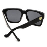 RoShari Brand Sunglasses Men Glasses Shades Male sun glasses men Eyewear Coating Points Sunglass oculos gafas de sol T23 RoShari Brand Sunglasses Men Glasses Shades Male sun glasses men Eyewear Coating Points Sunglass oculos gafas de sol T23