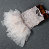 New Baby Girl Dress 2017 Summer Party Sleeveless Patchwork Girls tutu Dress Princess Mesh Toddler Lace Flower Clothes Vestido