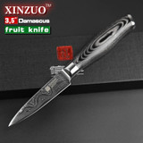 NEW 3.5" inches fruit knife VG10 Damascus steel kitchen knives paring kitchen knife parer knife k133 wood handle FREE SHIPPING