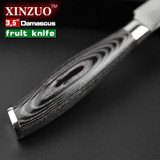 NEW 3.5" inches fruit knife VG10 Damascus steel kitchen knives paring kitchen knife parer knife k133 wood handle FREE SHIPPING