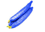 Cucumber Seeds100PCS Japanese Long Blue Cucumber Seeds Vegetable Seeds For Home NO-GMO Seeds Vegetables For Home Garden Planting