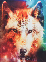 Mr.1991INC Summer t shirt men/women Fashion 3d tshirt print wolf space/galaxy T-shirt Hiphop lovely t shirt T54