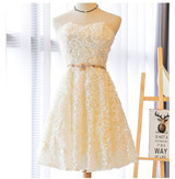 LOVONEY XYG702 A-Line Sweetheart Short Prom Dresses 2017 Sexy Backless Lace-Up Knee-Length Party Dresses Prom Gown Real Photos