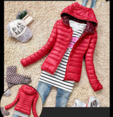 New 2014 Fashion Ladies Down Short Design Coat Winter Cotton-padded Jacket Women Slim Solid Zipper Outerwear DF-081