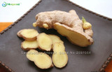 New 100 Pcs Ginger Seeds Vegetable seeds Balcony Vegetables Potted Bonsai Plant Seeds Four Seasons Zingiber Seeds Plants