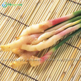New 100 Pcs Ginger Seeds Vegetable seeds Balcony Vegetables Potted Bonsai Plant Seeds Four Seasons Zingiber Seeds Plants